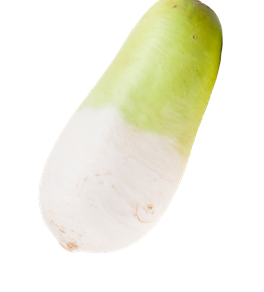 위산 과다에 좋은 음식 