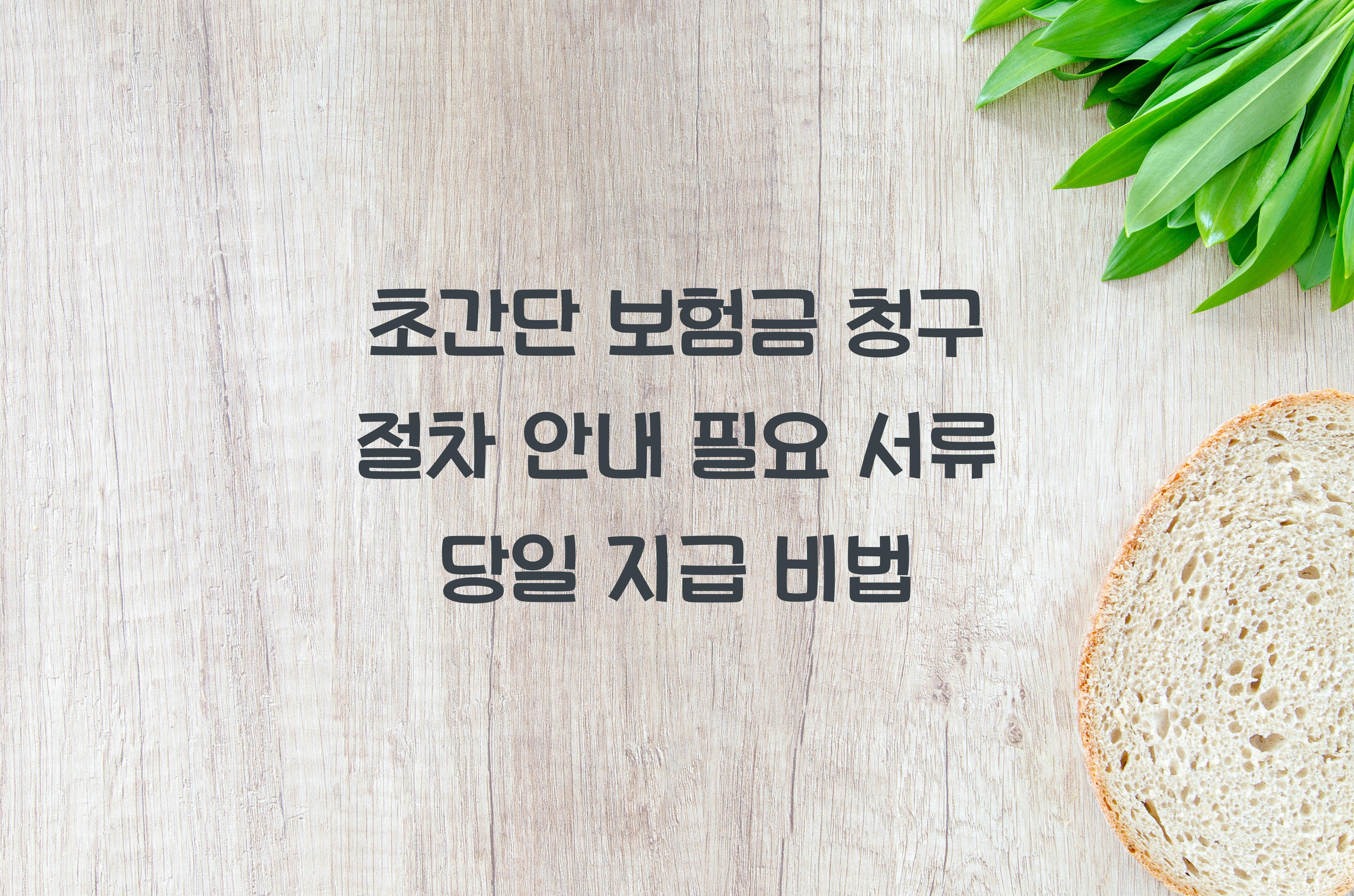 보험금 청구 절차 안내