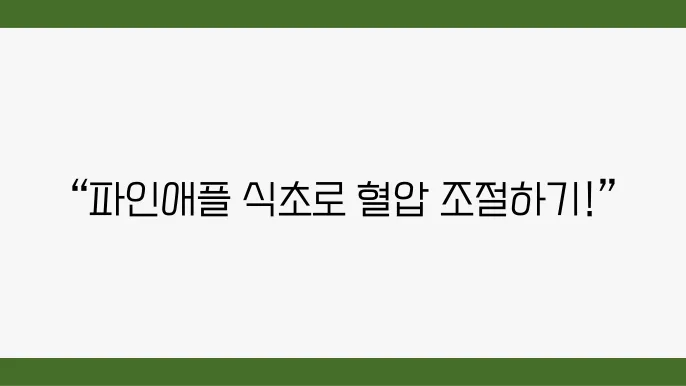 혈압 낮추는 파인애플 식초 간단히 만드는 법