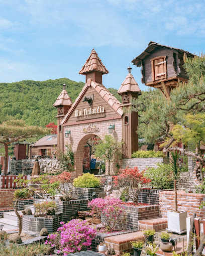 루덴시아 상단 사진