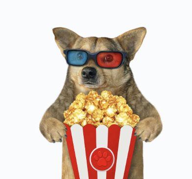 동물은 인간의 거울이다