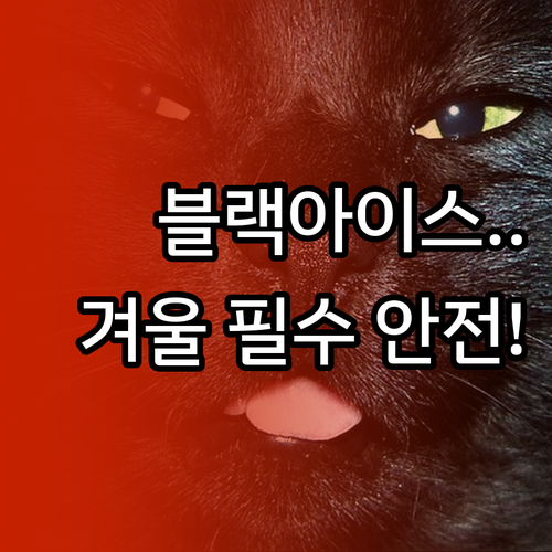 블랙아이스 위험 겨울 고속도로 안전을..