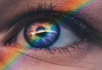 루테인 지아잔틴 아스타잔틴 부작용 효능 복용시간