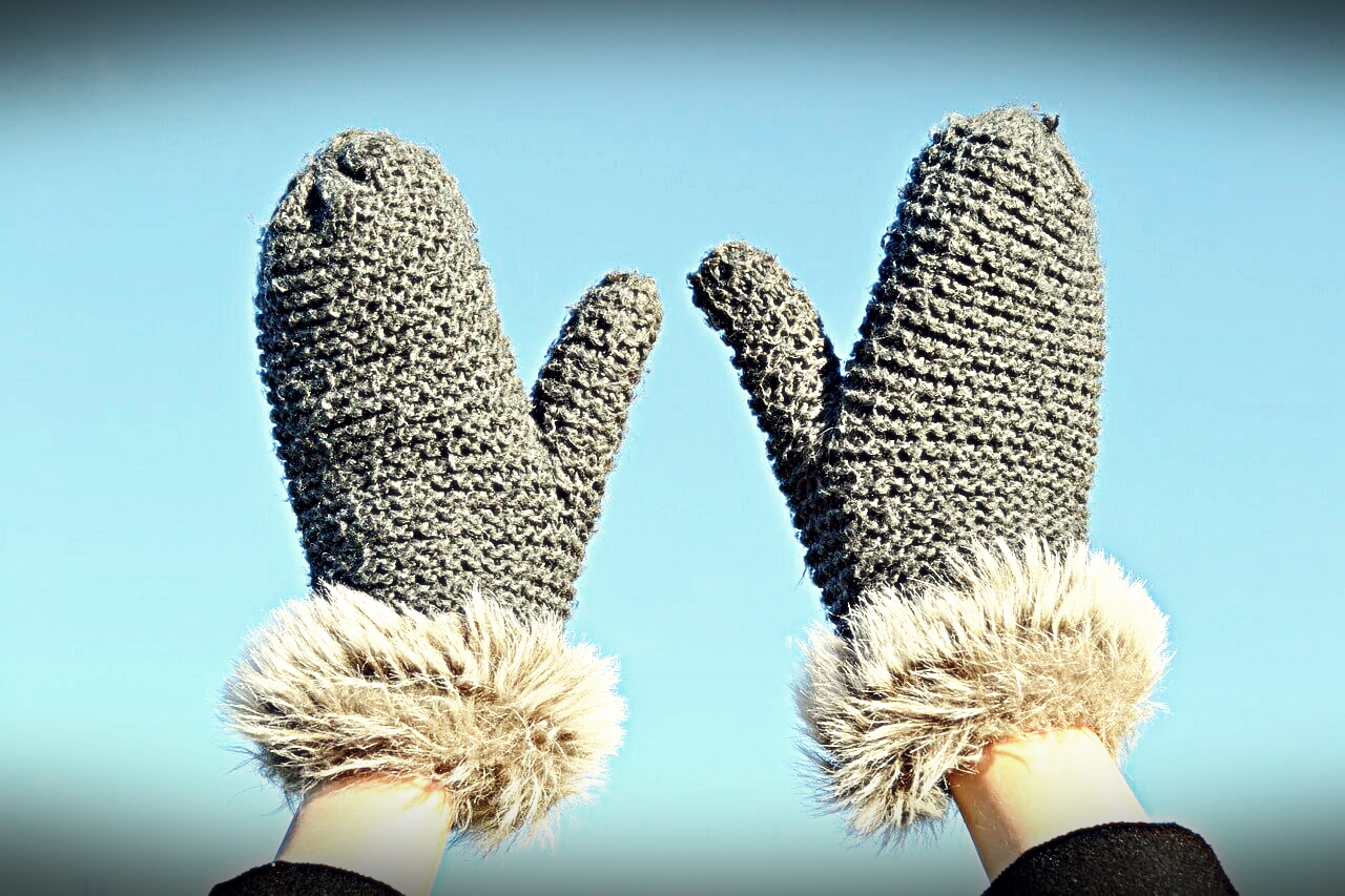 보험료 및 학습지 10% 청구할인3