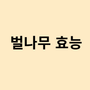 벌나무 효능