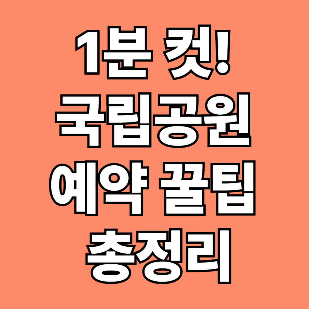 국립공원 예약