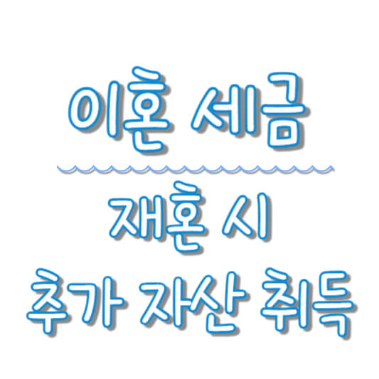 이혼 세금 재혼 시 추가 자산 취득