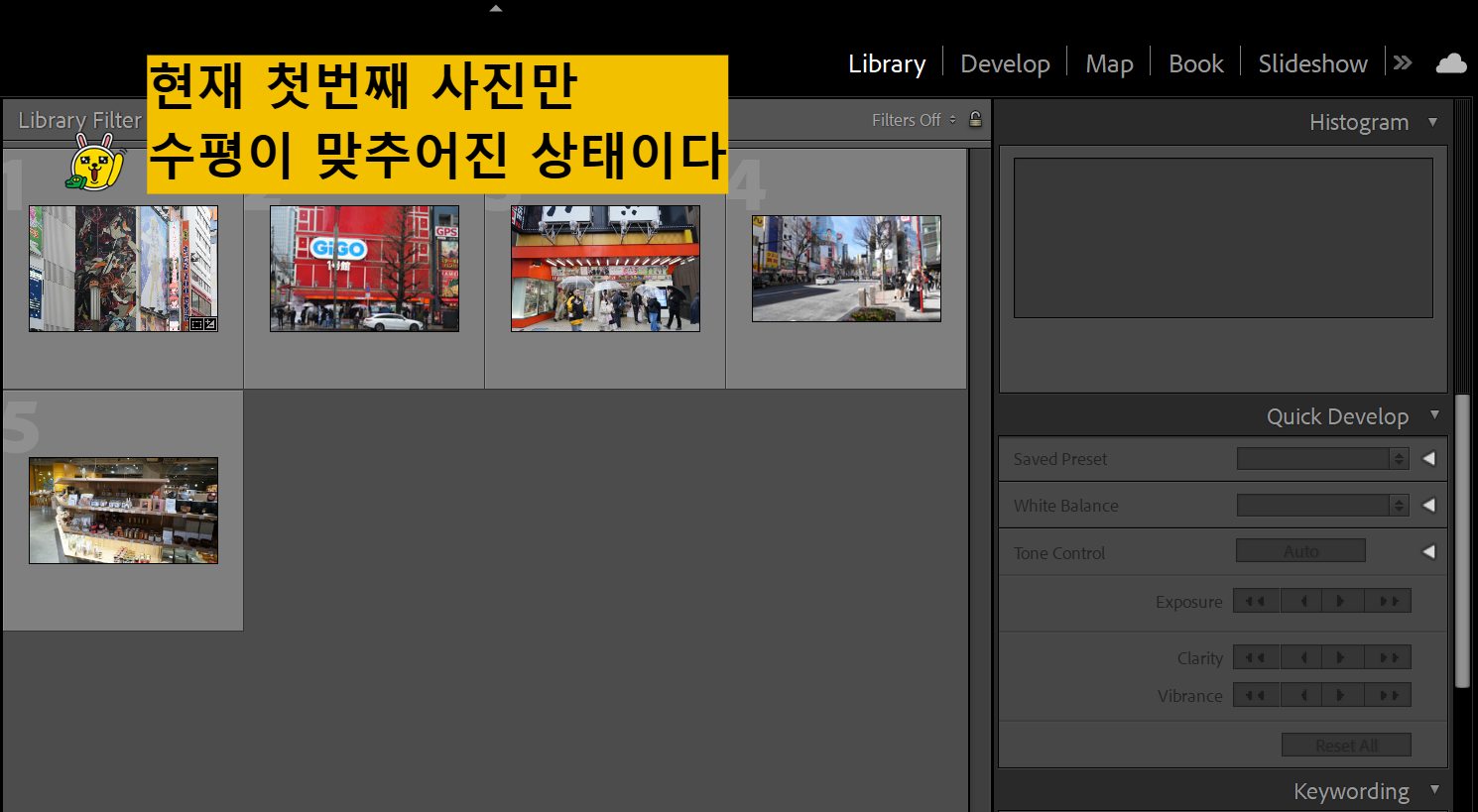 다수 이미지의 수평 맞추기