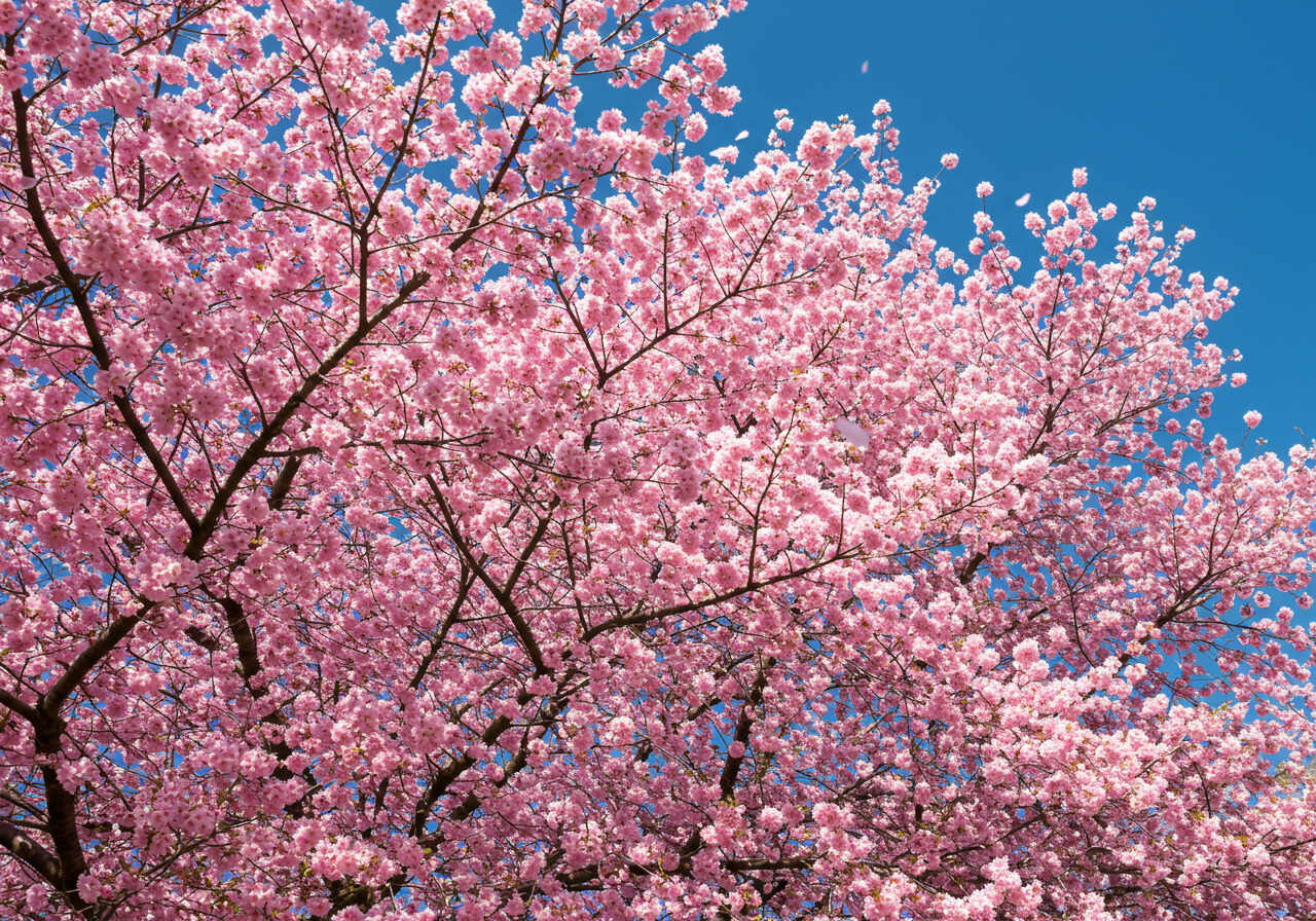 기초연금 수급액은 얼마일까? 2025년 기준 변화 사항