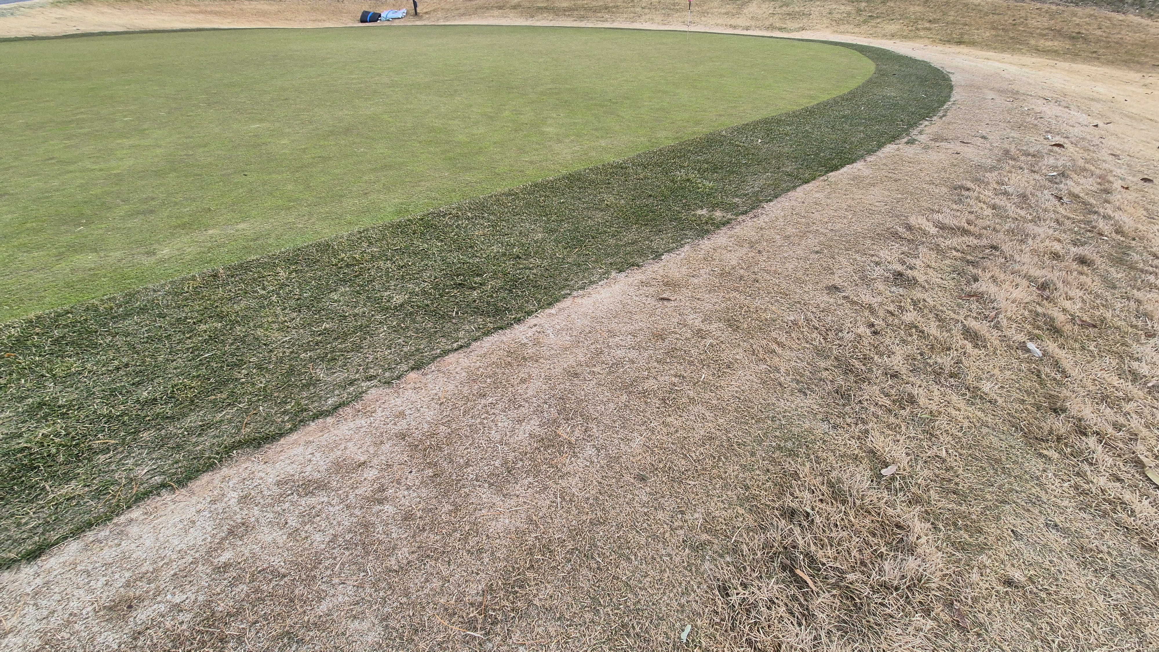 힐데스하임 레이크-힐 코스 그린관리 상태