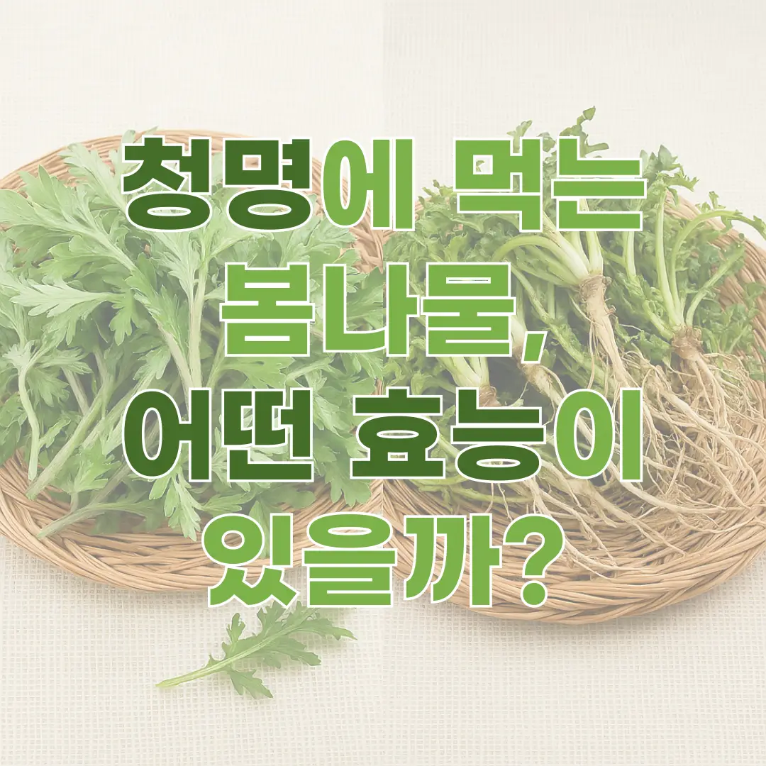 청명에 먹는 봄나물, 어떤 효능이 있을까? 영양 가득 제철 채소!