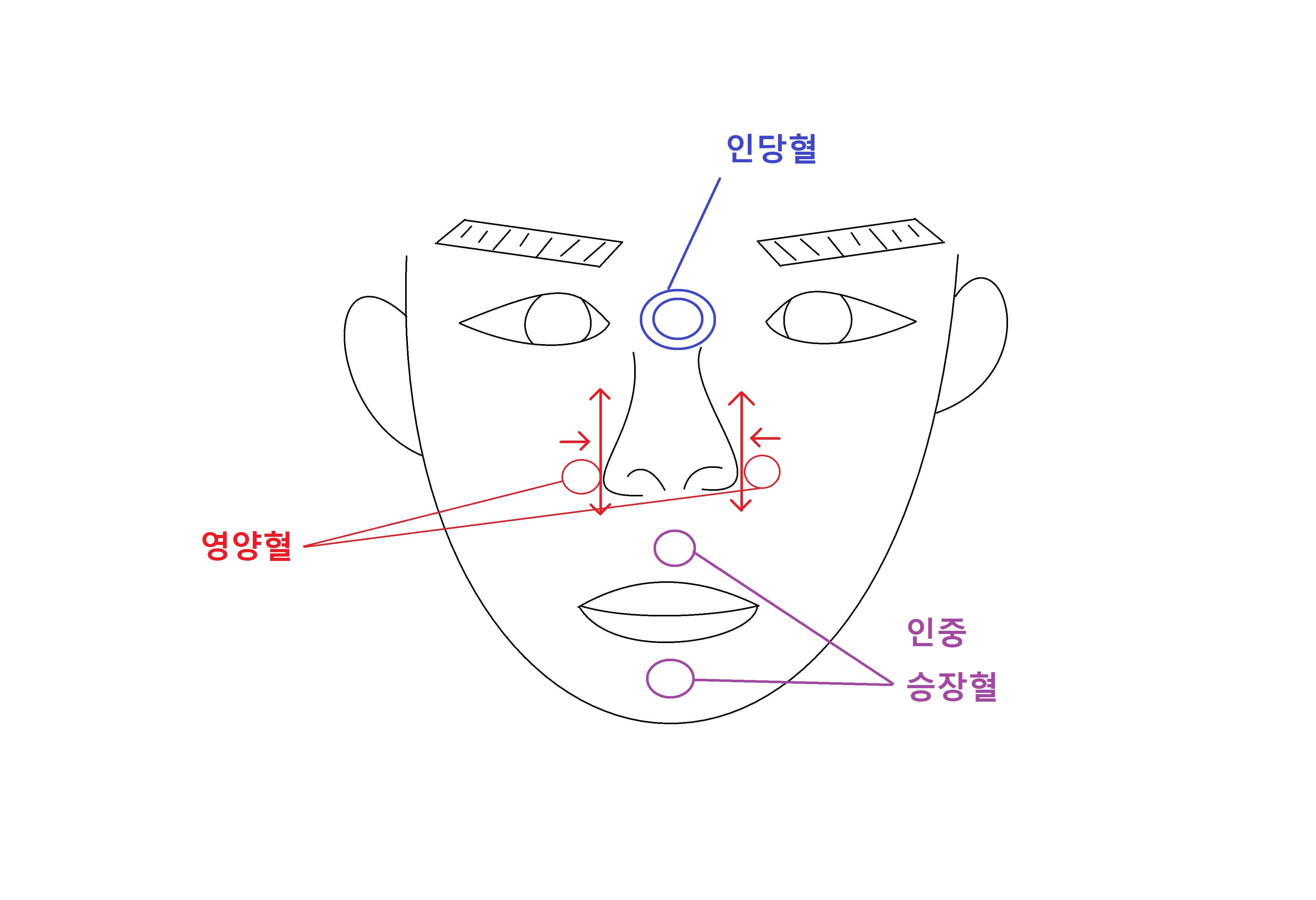 코막힘-뚫는법-지압-혈자리