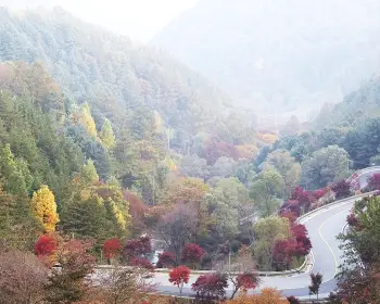 지리산 국립공원_8