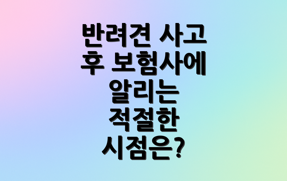 반려견 사고 후 보험사에 알리는 적절한 시점은?