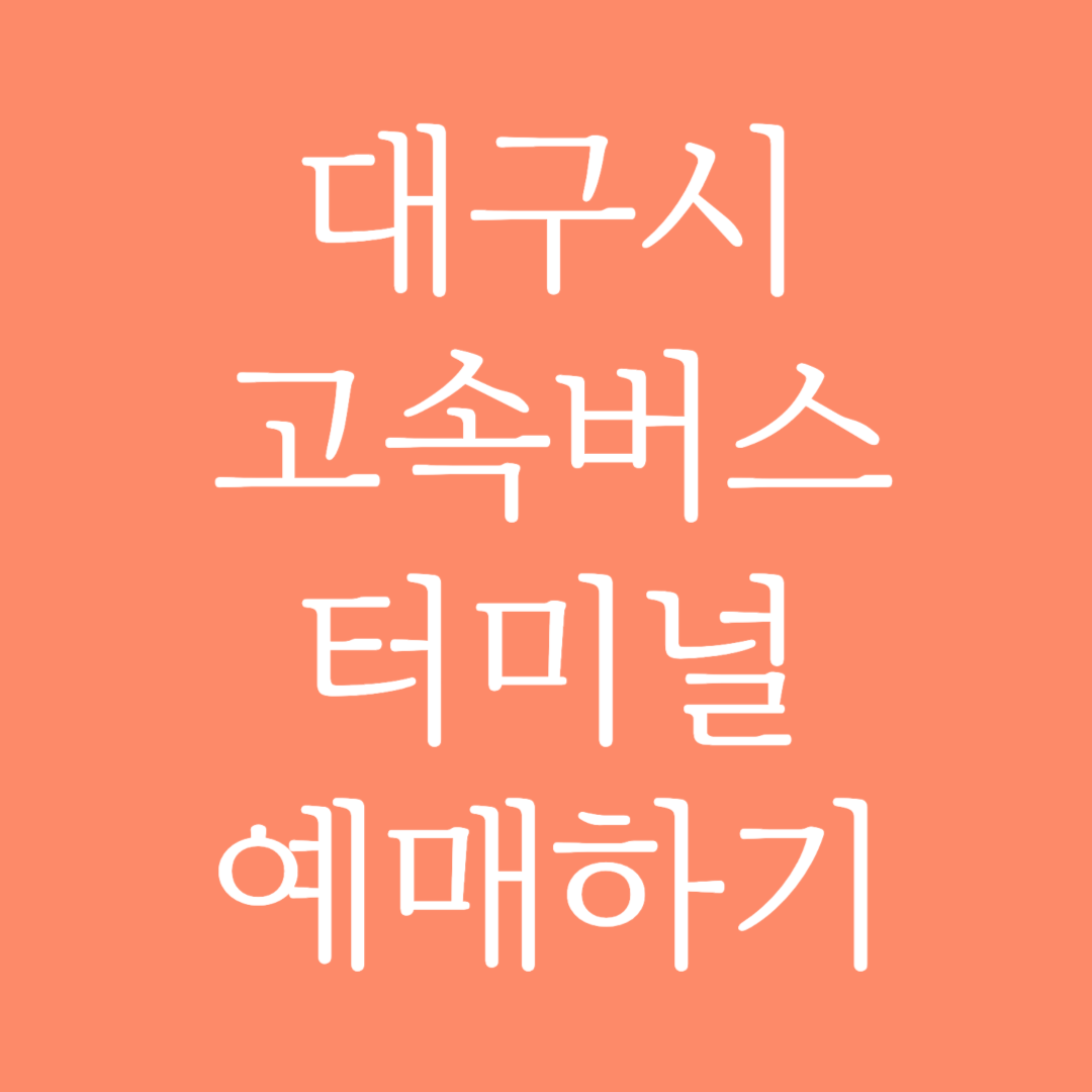 대구시 실시간 고속버스터미널 시간표 조회 및 예매하기