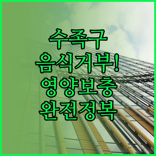 수족구 음식 거부 단계별 대처법과 영..
