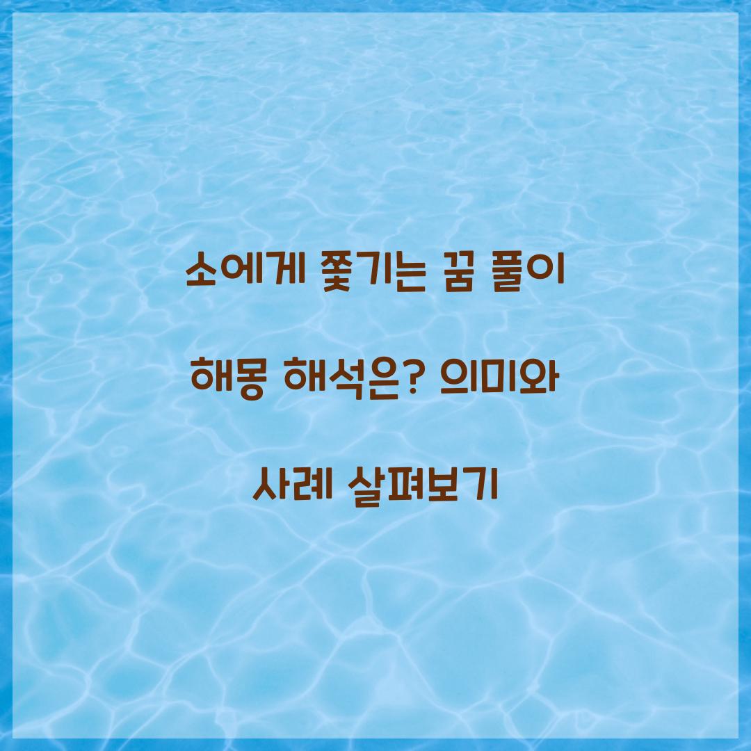 소에게 쫓기는 꿈 풀이 해몽 해석