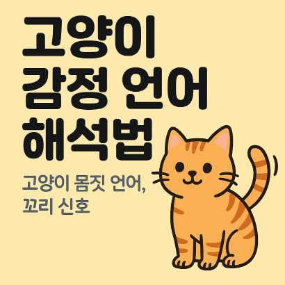 고양이 감정 언어 해석법 : 몸짓과 꼬리 신호로 읽는 진짜 속마음