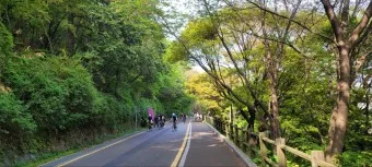 남산둘레길 코스 지도 소요시간 맛집_13