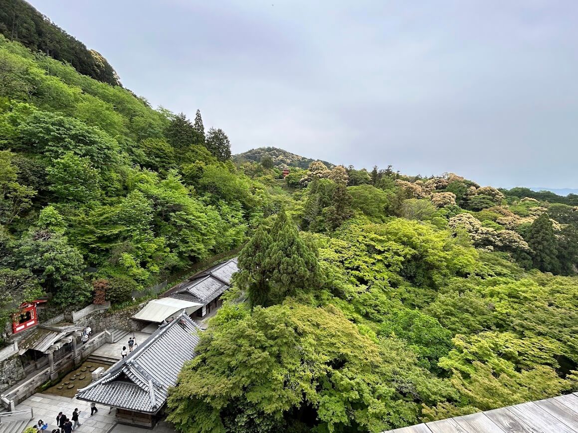 교토 3박4일 여행코스 실제 후기｜가와라마치 숙소&amp;#44; 맛집&amp;#44; 기요미즈데라 일정 관련사진