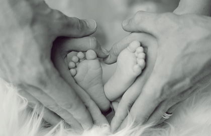 단디헬퍼 구인구직 이용방법, 안심도우미