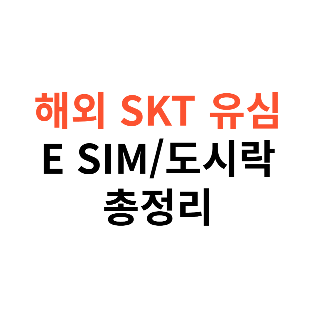해외에서 SKT 유심보호 중 유심