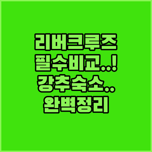 시카고 리버 크루즈 종류별 장점 비교..