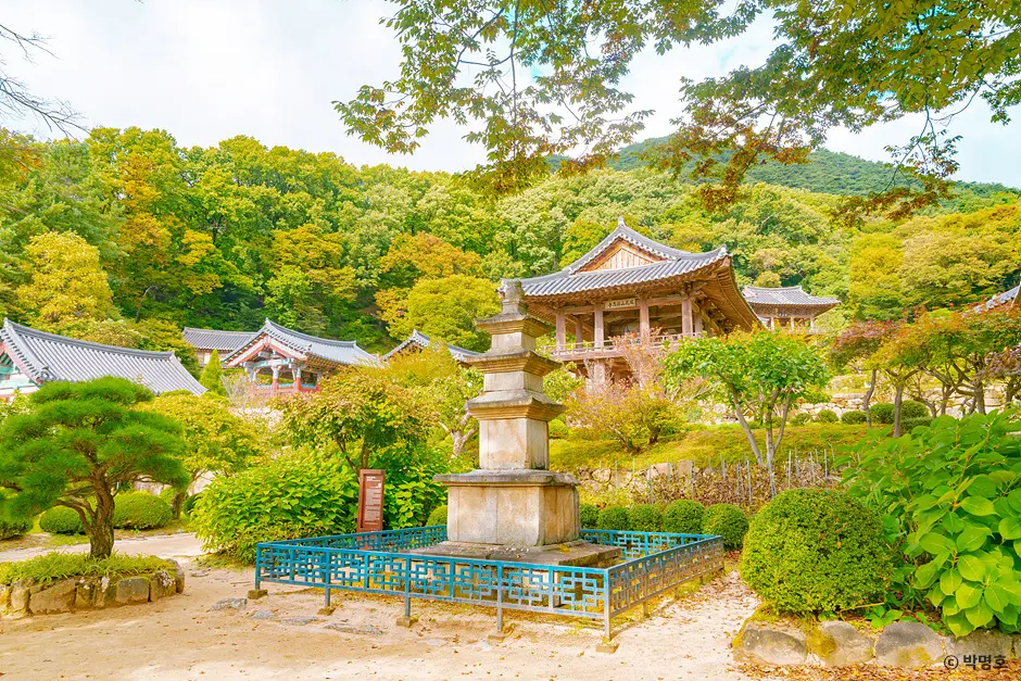 부석사 (경북 영주)