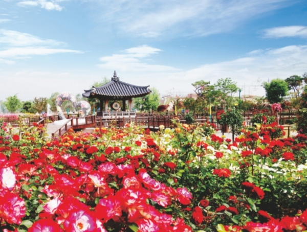 곡성세계장미축제 1