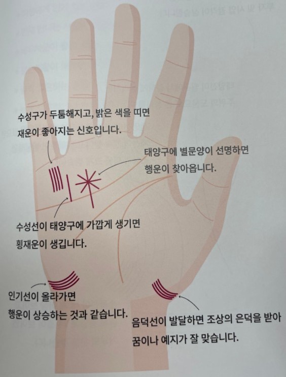 수성구-태양구-수성선-음덕선-손금