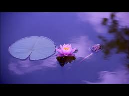 영인스님 천수경 mp3 다운로드 방법