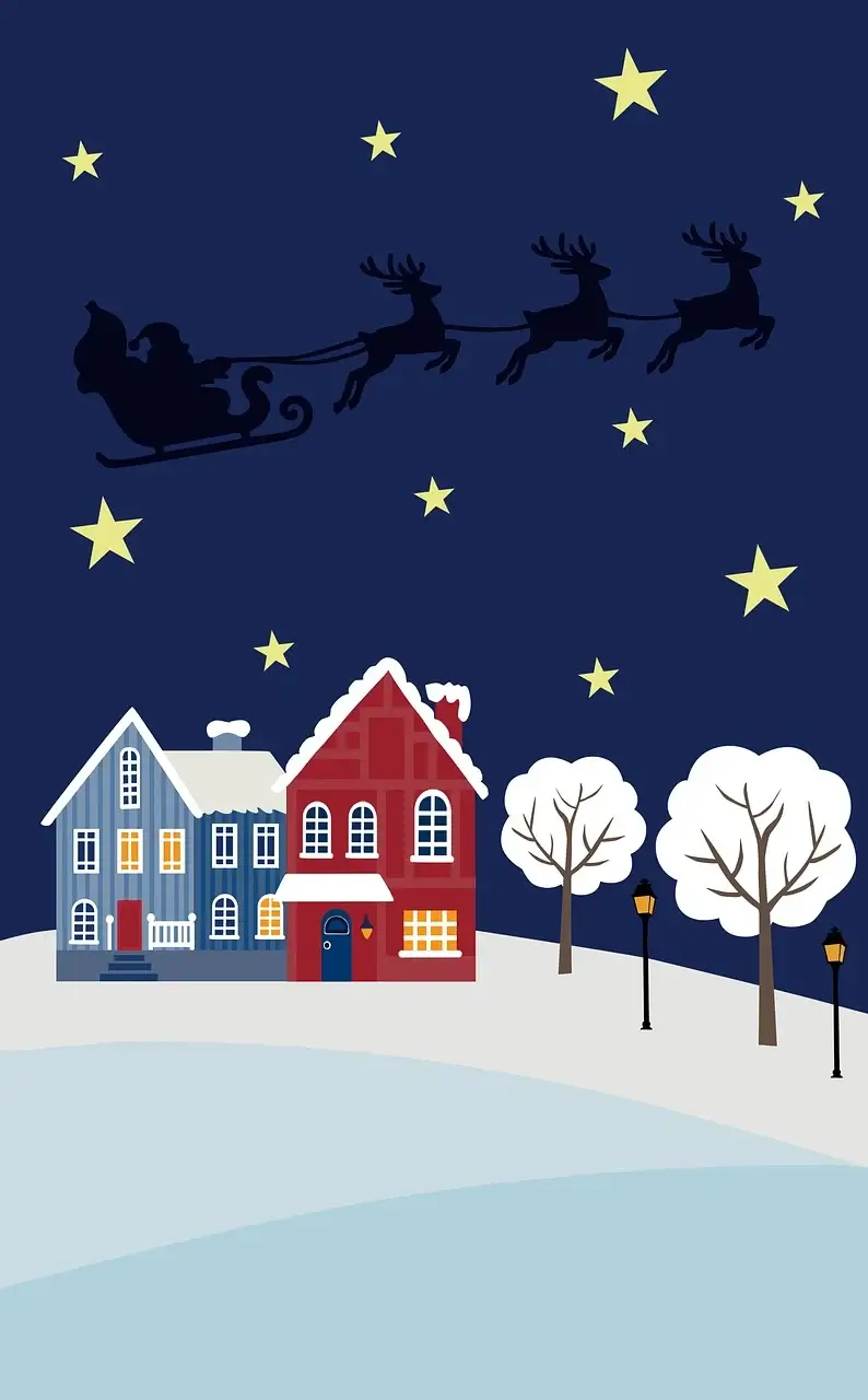 서울스케이트장 반얀트리 오아시스 아이스링크장