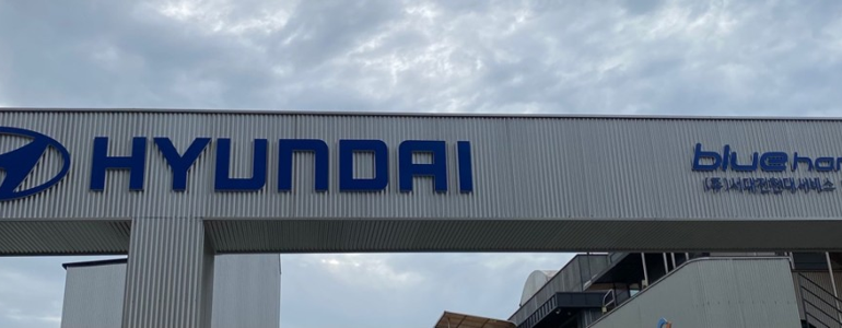 대전 서구 블루핸즈