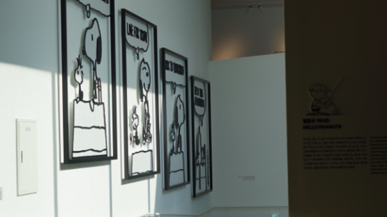 제주도 가볼만한 곳