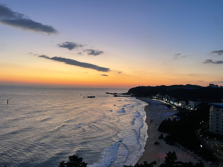 솔비치 삼척 일출 체험