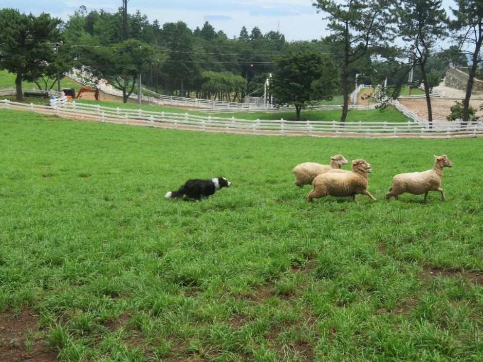 남해 가볼만한곳 베스트10