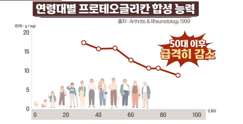 프로테오글리칸 효능