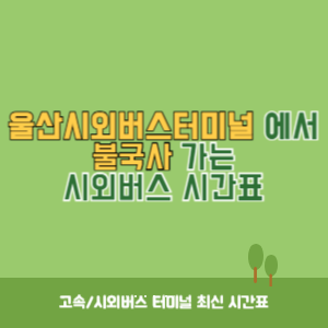 울산시외버스터미널에서 불국사 가는 시외버스 시간표 최신정보