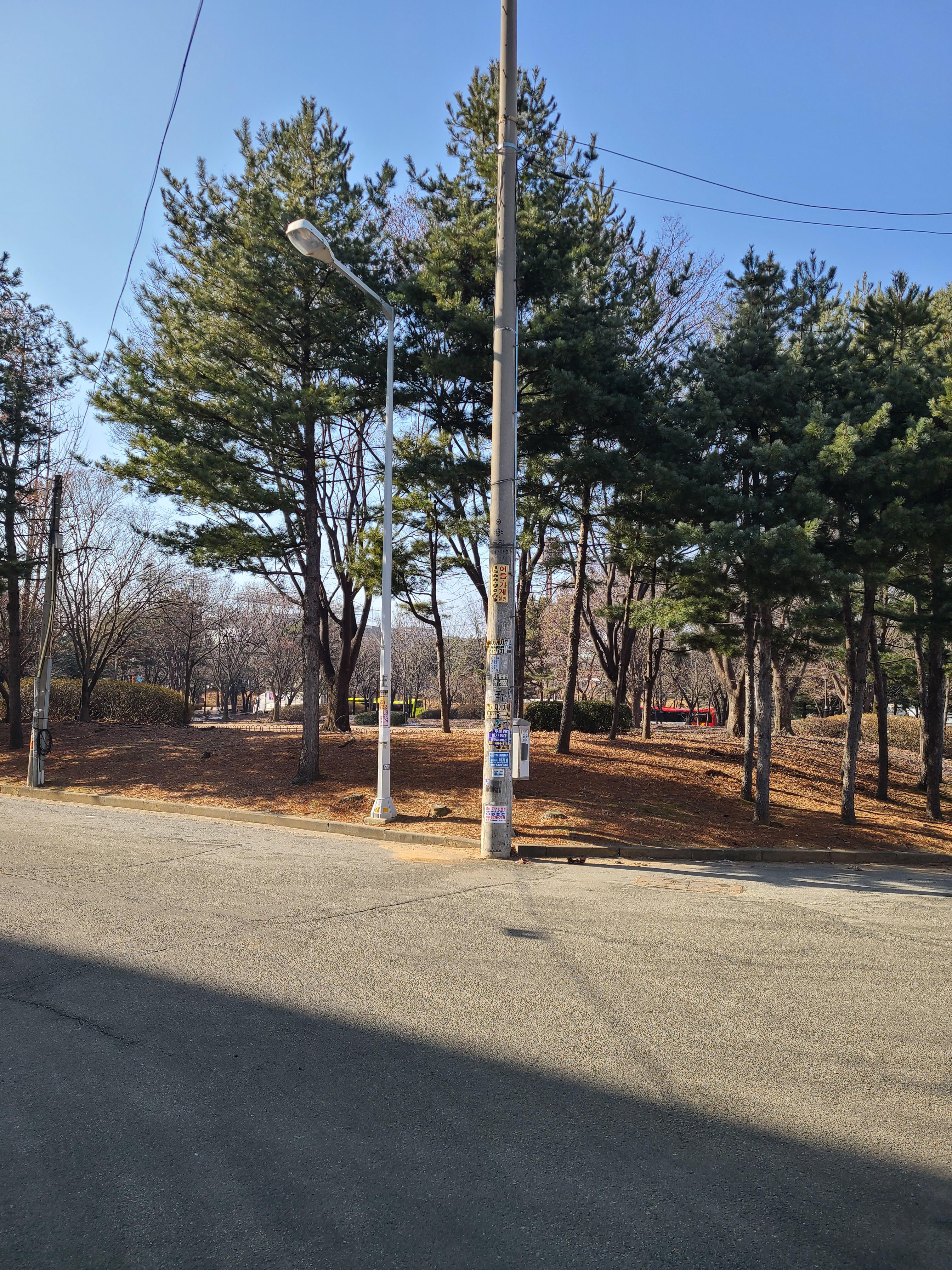 센트럴타워 공사현장 근처 공원1