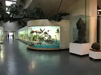아이와 제주 여행 제주 민속 자연사박물관 예매 코스 가이드_5