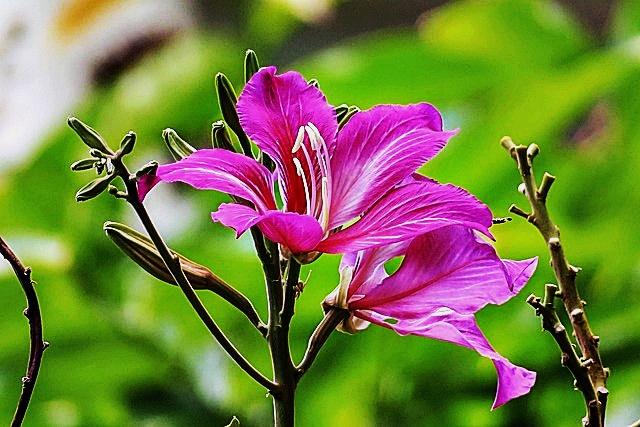 일자리 채움 청년지원금 신청방법