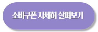 2차 민생지원금