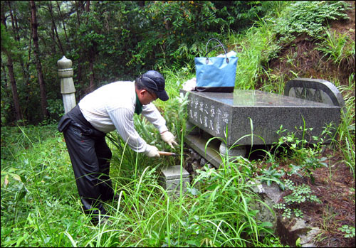 산불 내면 어떤 처벌 받을까? 형벌부터 손해배상까지 반드시 알아야 할 책임 정리