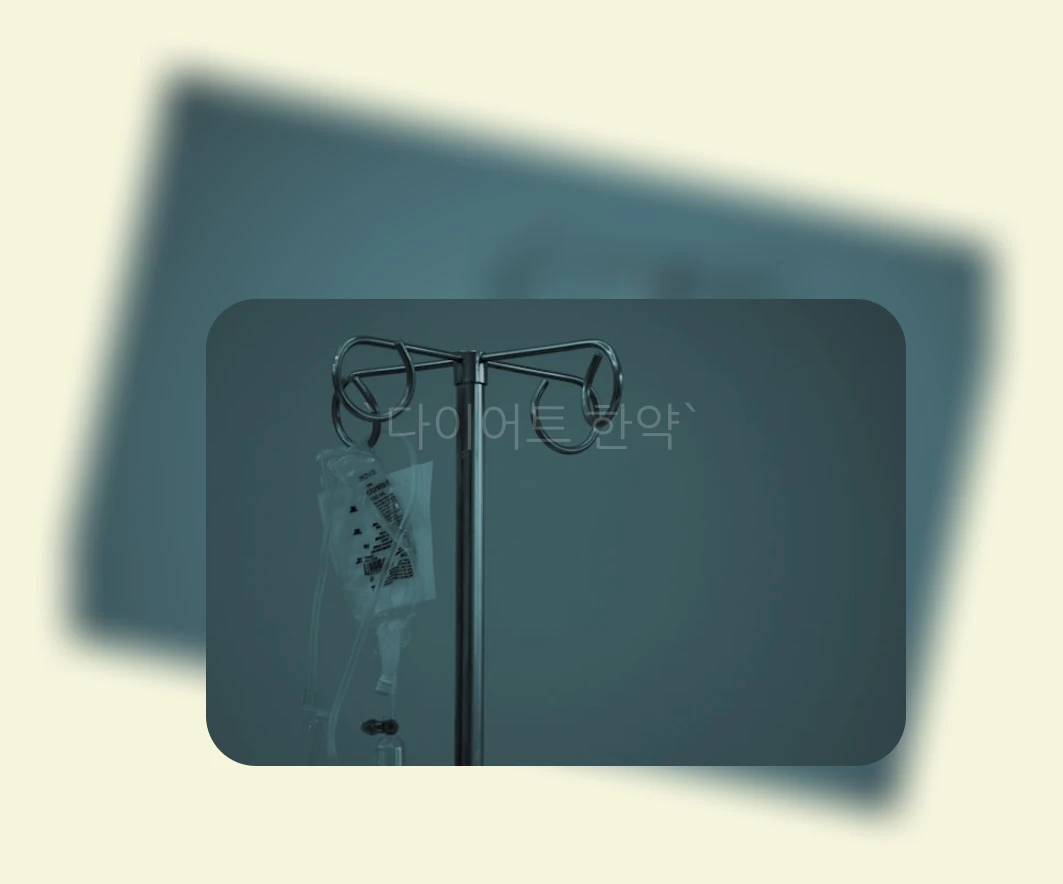 다이어트 한약_1_subsection