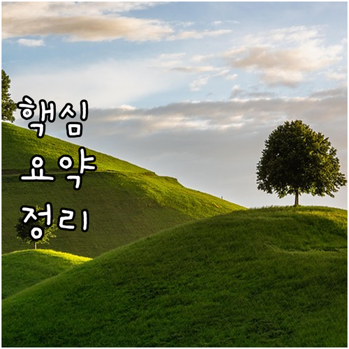 해녀 의료비 부담 제로 2025 지원..