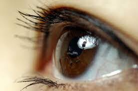 루테인 지아잔틴 164 효능 부작용 (5주 섭취 후기)