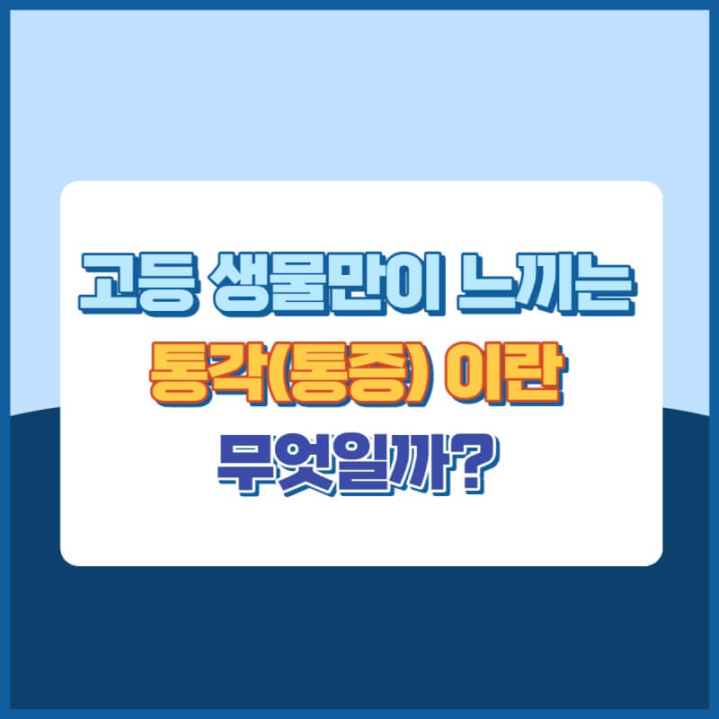 통각(통증) 썸네일 이미지