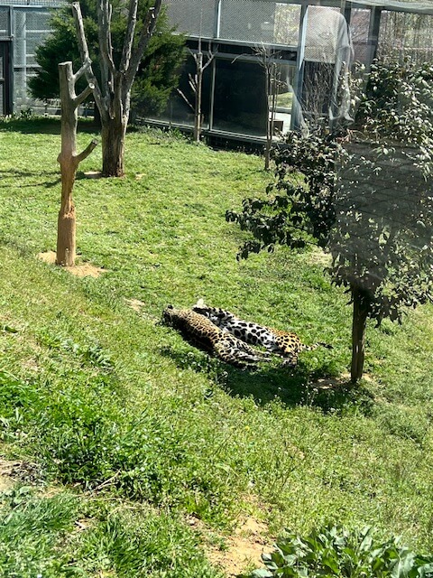 광주 패밀리랜드 동물원