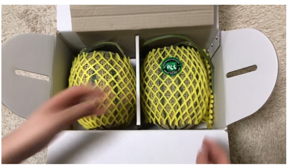 카탈로프 멜론 경북 구미 상훈이집 정보 6시 내고향 6월 3일 방송