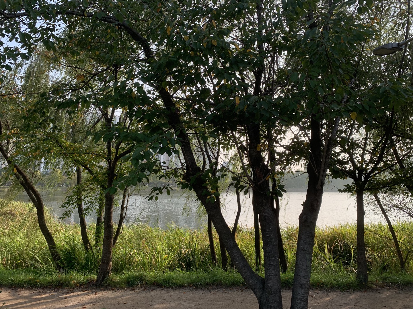 수원 일월 수목원 외부